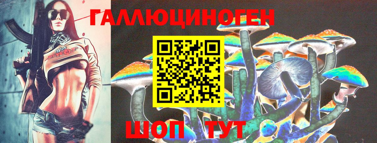 Галлюциногенные грибы Psilocybine cubensis  Галлюциногенные грибы Cubensis  Георгиевск  Вход с VPN 